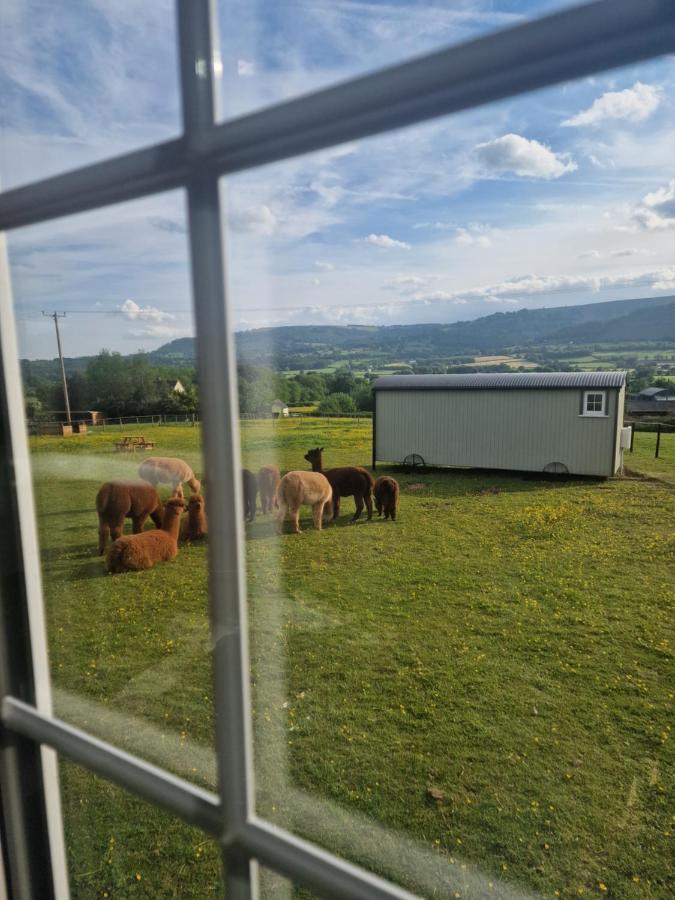 Cwtch Glamping Shepherds Huts Abergavenny Exterior foto